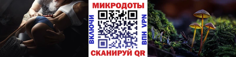 Псилоцибиновые грибы Magic Shrooms где продают Спас-Деменск